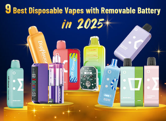 9 best disposable vapes with removable battery in 2025