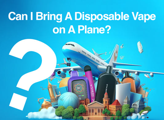 Can I Bring A Disposable Vape on A Plane?