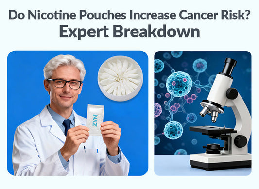 do nicotine pouches increase cancer risk