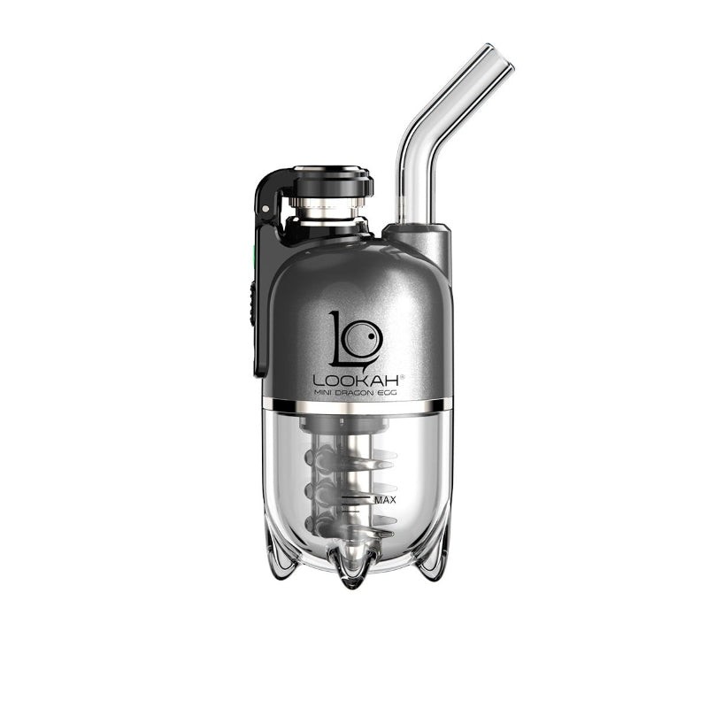 gray lookah mini dragon egg