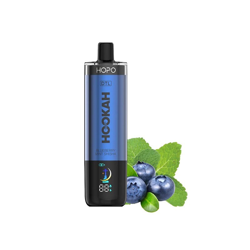 hopo hookah dtl 50000 blueberry mint shisha